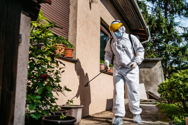 Best Pest Control Near Me  in Loughman, FL