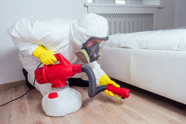 Best Pest Inspection Near Me  in Loughman, FL