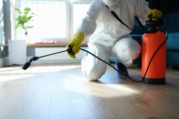 Best Pest Control Near Me  in Loughman, FL
